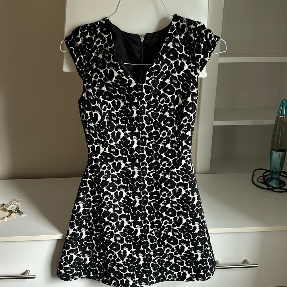Zara Velvet V-Neck Animal Print Mini Dress XS